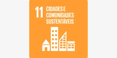 ODS 11