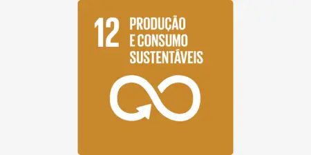 ODS 12