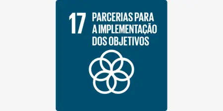 ODS 17