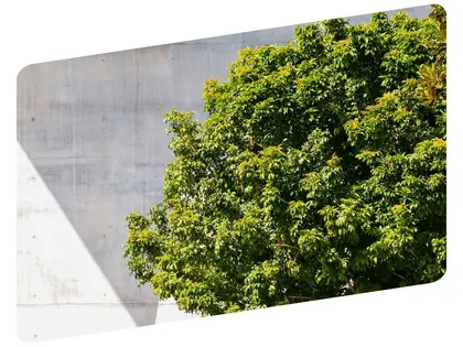 Descarbonização do setor da construção